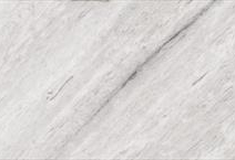 Silver Fantasy Leathered